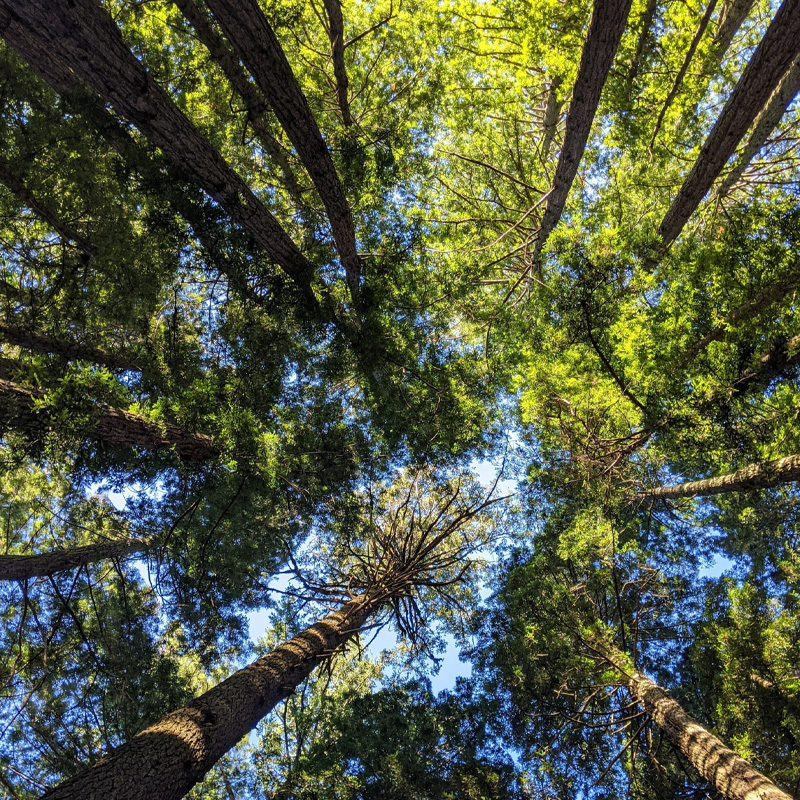 28% CO2-reductie en introductie nieuwe lijn biobased keukens: DKG in 2025